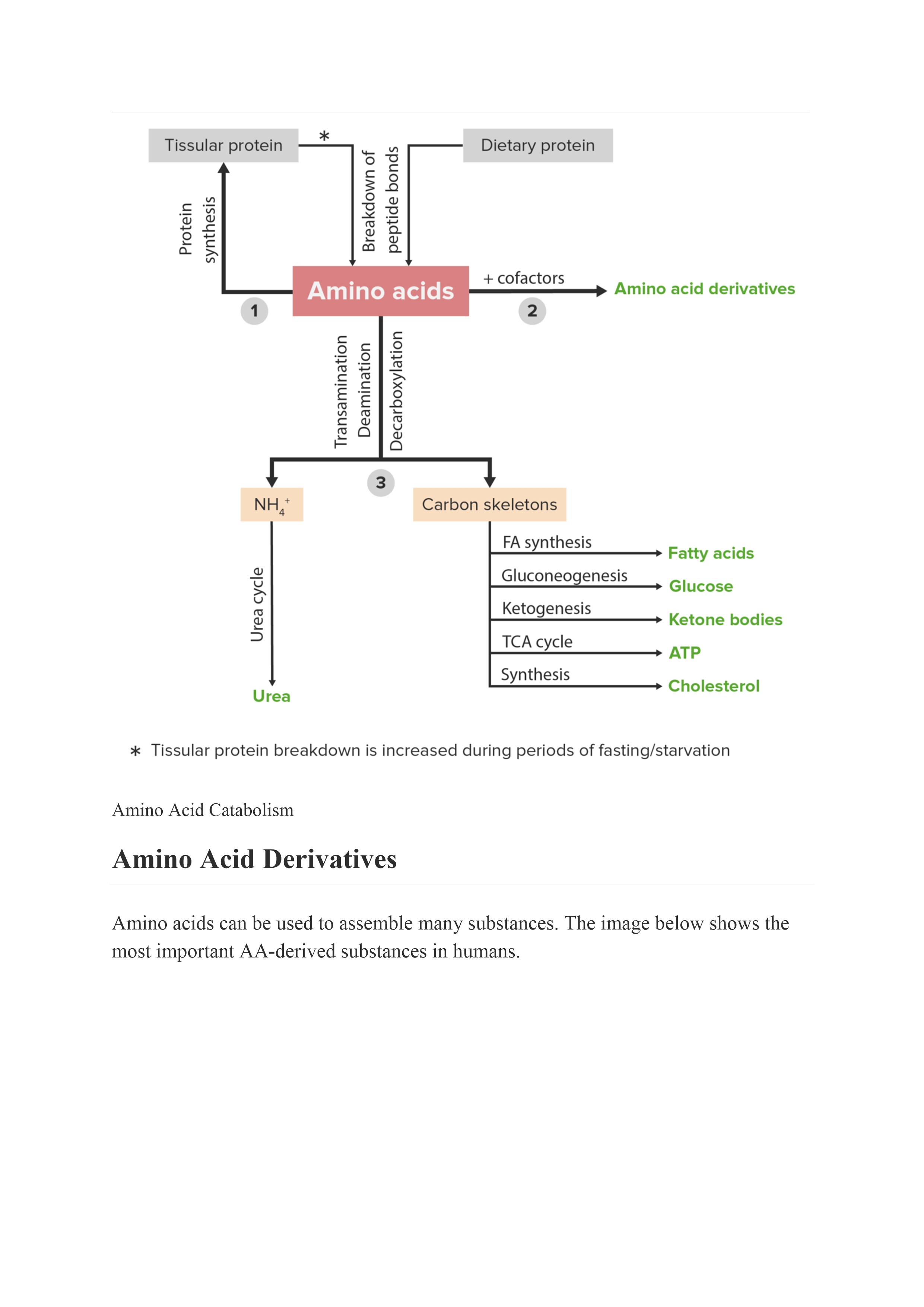 No preview available